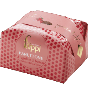 Panettone aux fruits de bois  et chocolat blanc de la pâtisserie Filippi   ( pièce de 1 kg )